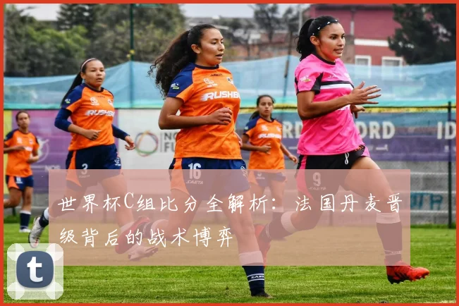 世界杯C组比分全解析:法国丹麦晋级背后的战术博弈
