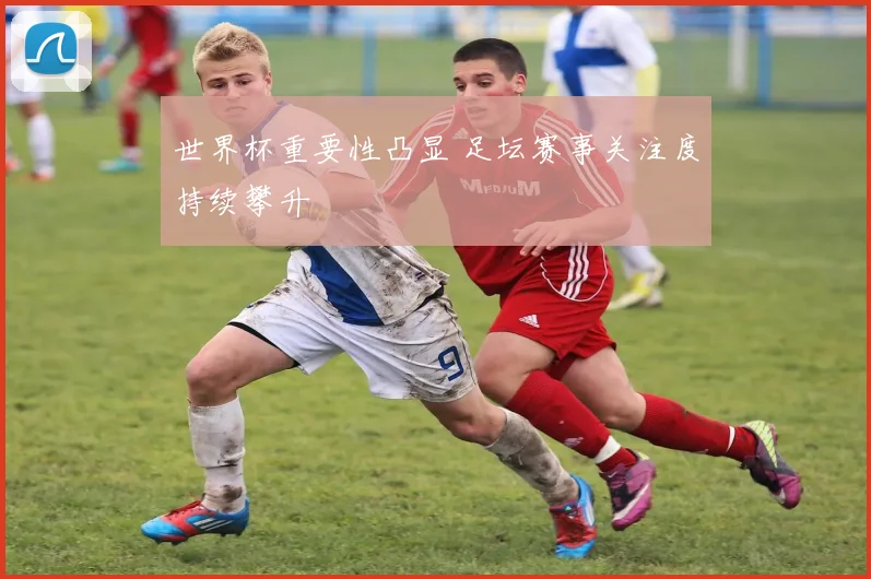 世界杯重要性凸显 足坛赛事关注度持续攀升