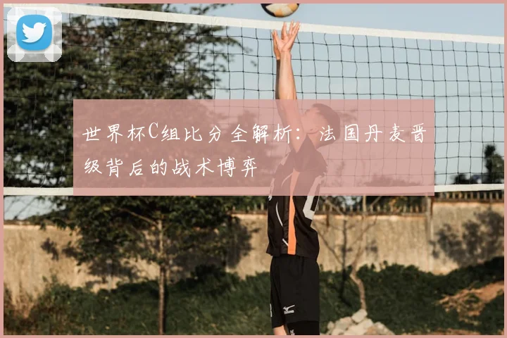 世界杯C组比分全解析：法国丹麦晋级背后的战术博弈