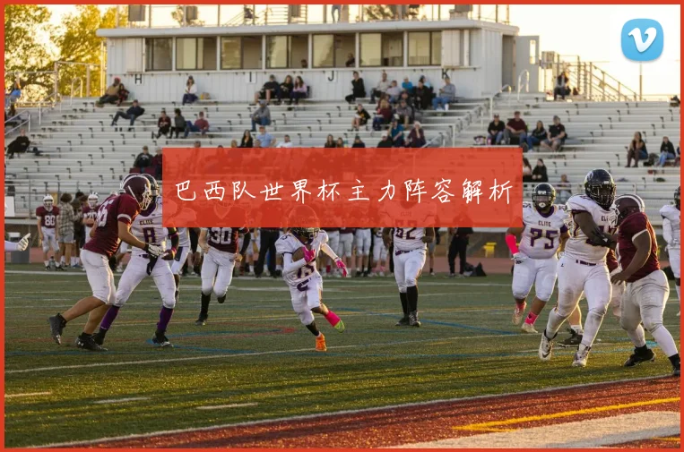 巴西队世界杯主力阵容解析